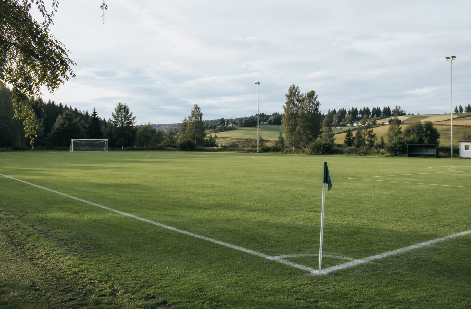 Holter stadion, gressbane